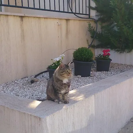 Townhouse Luck In Вилла Полис